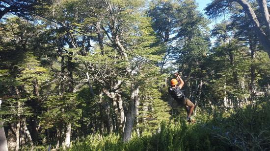 Canopy Cerro Bayo Rio Bonito
