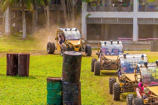 Raro Buggy Tours