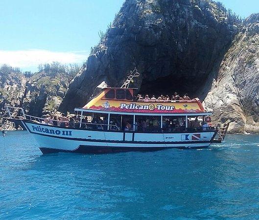 Pelicano Tour