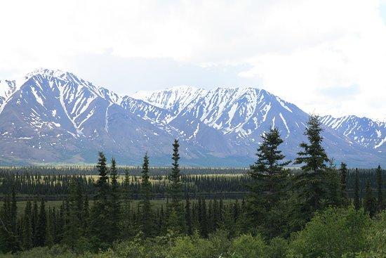 Denali Highway