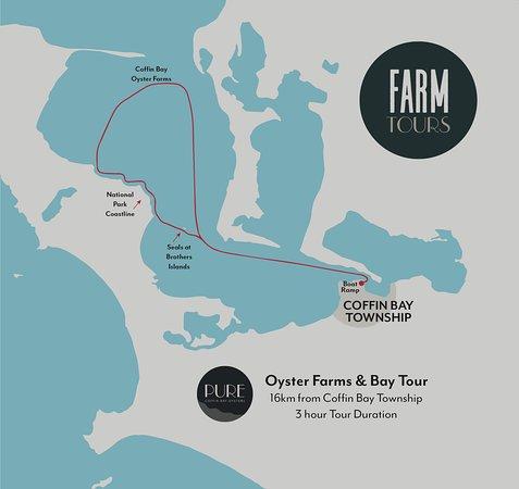 Pure Coffin Bay Oysters