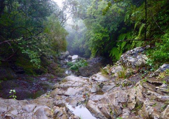 Levada do Furado