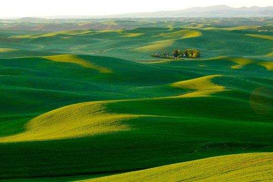 Palouse Tour