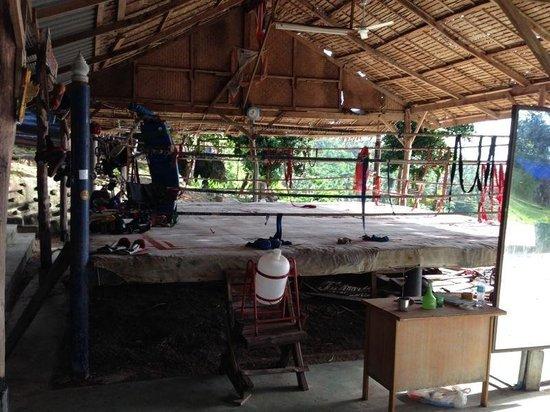 Horizon Muay Thai Boxing Camp