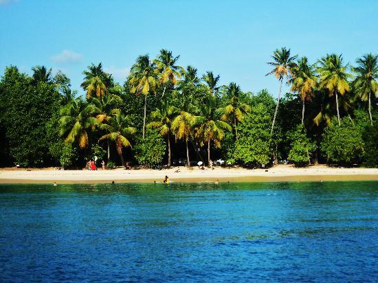 Catamaran Sun Tropic