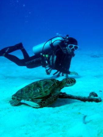 Mermaid Saipan