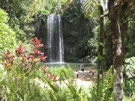 Bandicoot Bicycle Tours