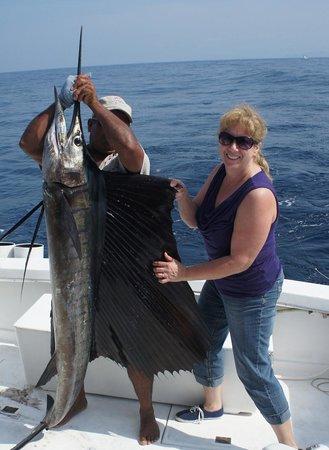 PV Charters