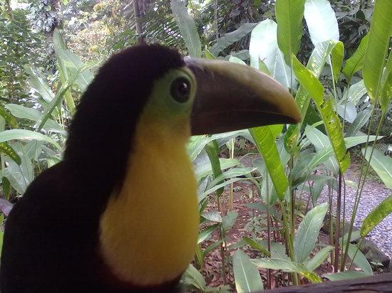 Eco Adventure Costa Rica