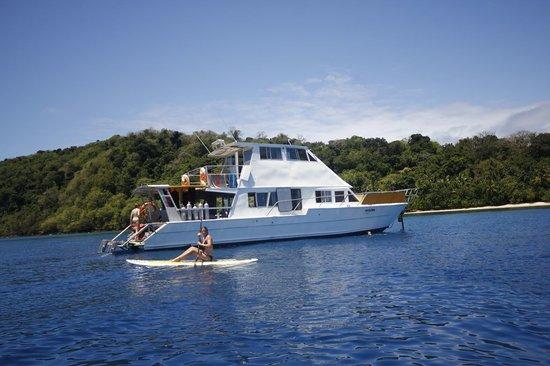 Aboard-a-Dream Day Cruise