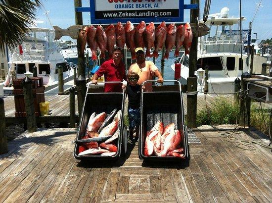 Riptide Charters