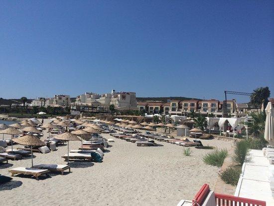 Mocca Beach