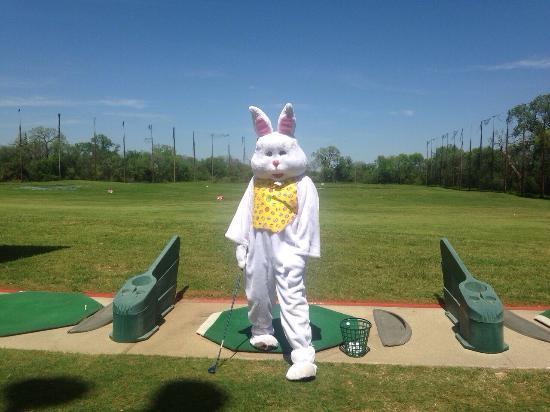 Golf Center of Arlington
