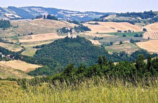 Pietra Perduca