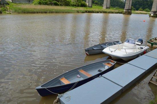 Tamar Boat & Canoe Hire