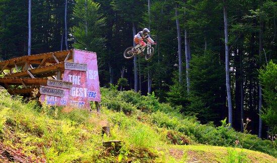 Bike Park Pohorje