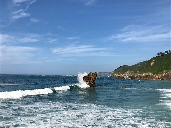 Carving Surf School