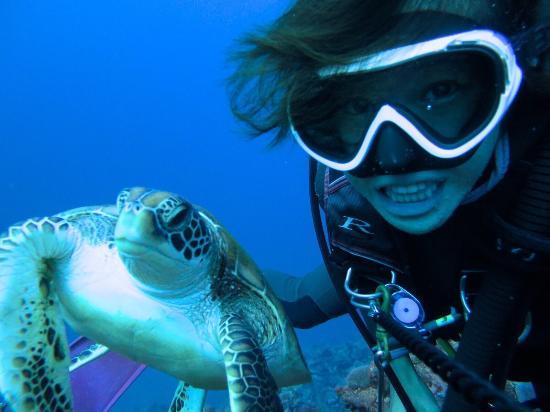 Pro Scuba Team Seals
