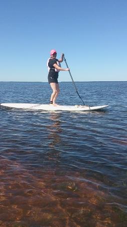 Malpeque Bay Kayak Tours
