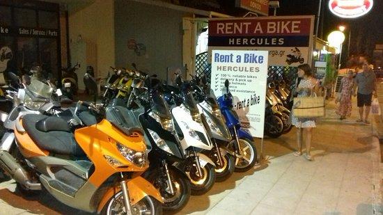 Hercules Rent A Bike