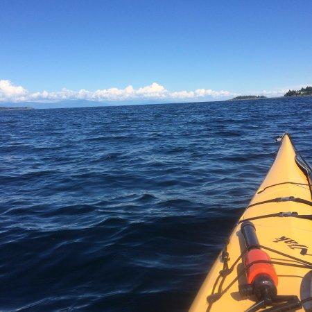 Brackish Adventures
