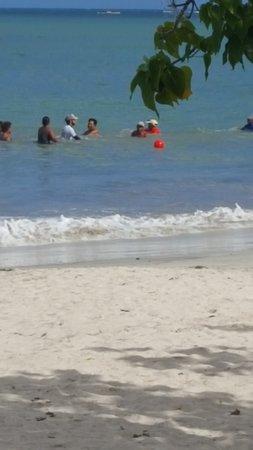 Plage des Raisiniers