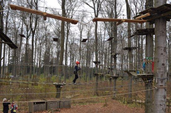 Kletterwald Kassel