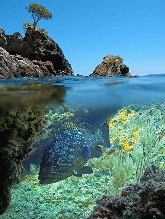 Ondine Escape - One Day Activities