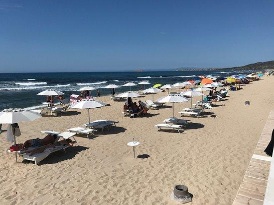 SardiniAction
