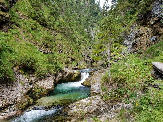 Wanderung durch die Weissbachschlucht