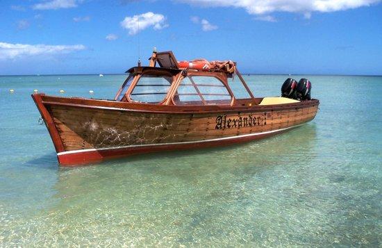 Tropical Drift