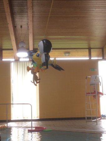 Crewkerne Aqua Centre