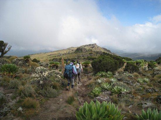 Mt. Kenya Guides and Porters Club