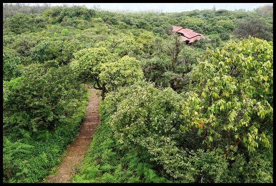 Gureghar Nature Trail