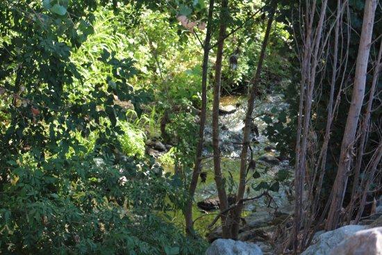 Alamo Creek Bike Trail