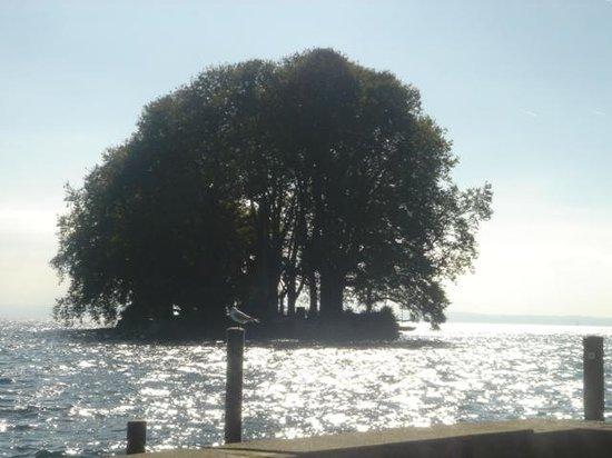 Ile de la Harpe