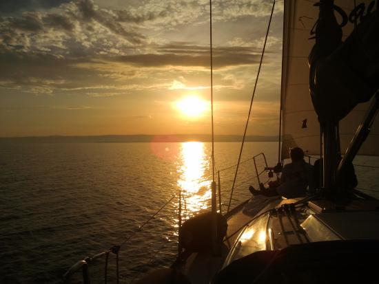 Dailysail