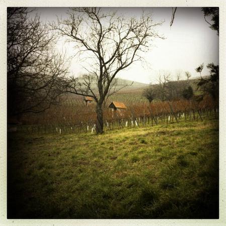 Erlebnispfad Wein und Stein