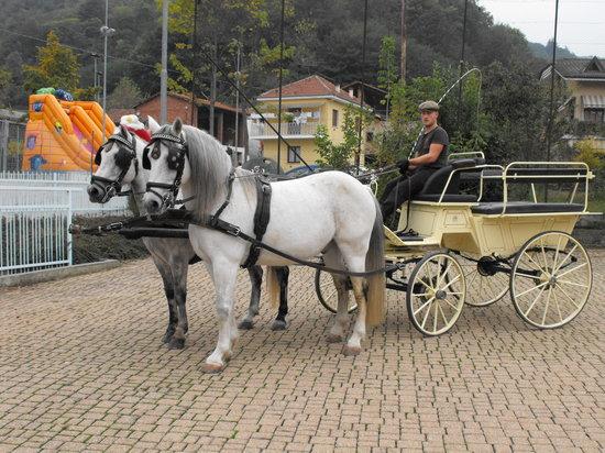 Servizi in Carrozza