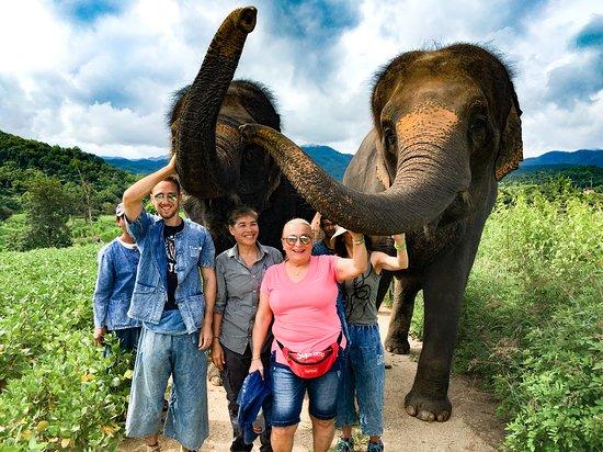 Pai Elephant Sanctuary