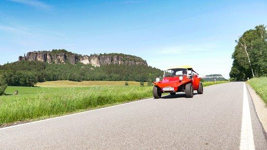 BuggyTours