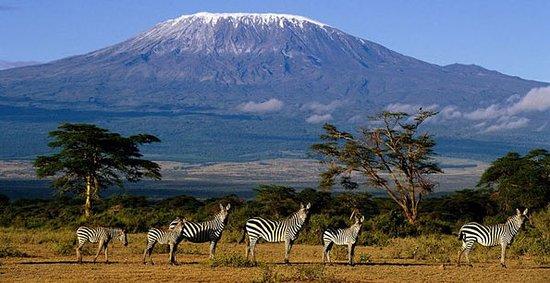Bush Candle Adventure Safaris