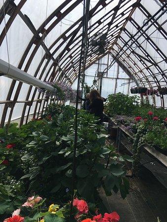 Alaska Farm Tours