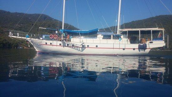 Dumen Yachting
