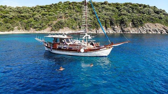 Ninemia Cruises