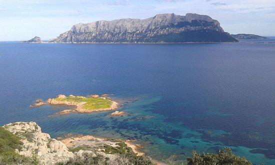 Sardinia's hugs