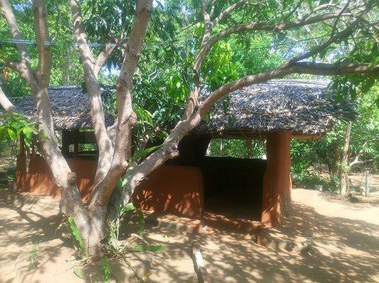 Pulathisi Arana Ayurvedic Centre