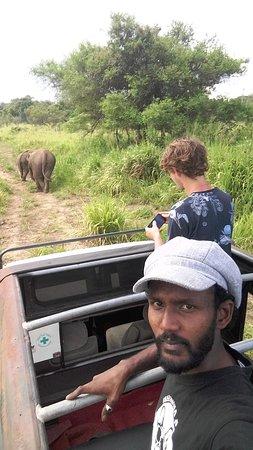 Habarana Nature Safari