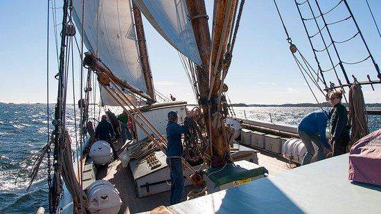 T/S Constantia