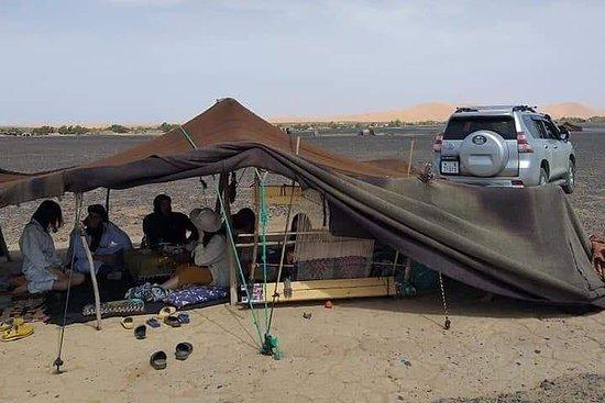 Morocco Visitors